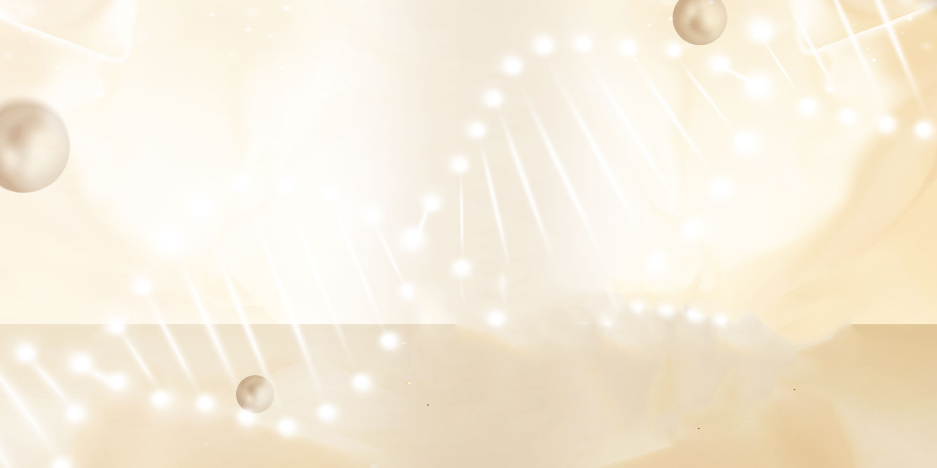 關(guān)于我們桃花江竹材